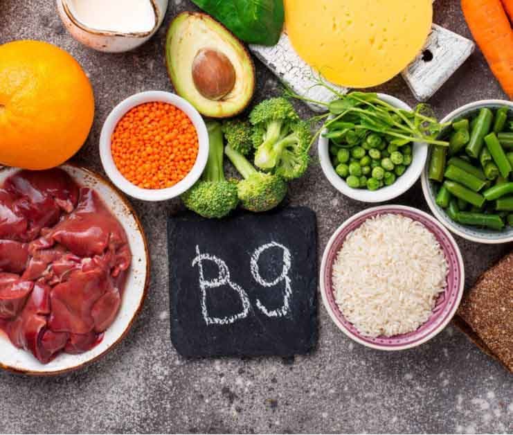 Folna kislina – tihi graditelj novih celic